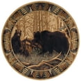 thumbnail image 3 of Novelty Area Rug (7'10'' Round) Lodge Beige, Brown Indoor Round Easy to Clean, 3 of 6