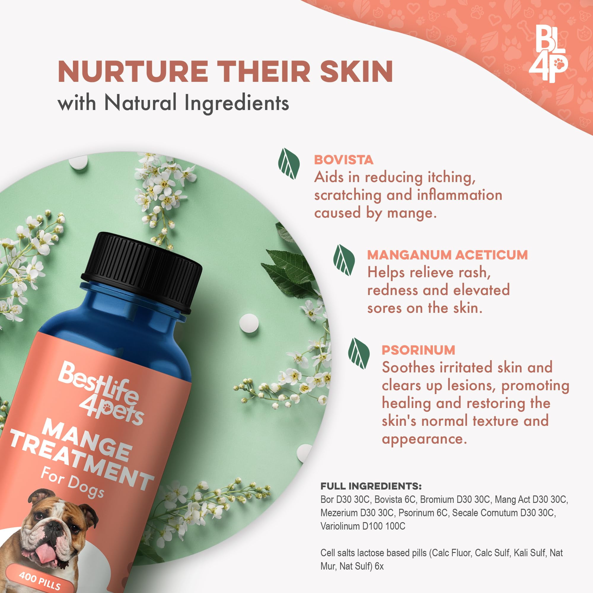 Scabies Treatment For Mange Mites In Dogs Mange Treatment For Dogs