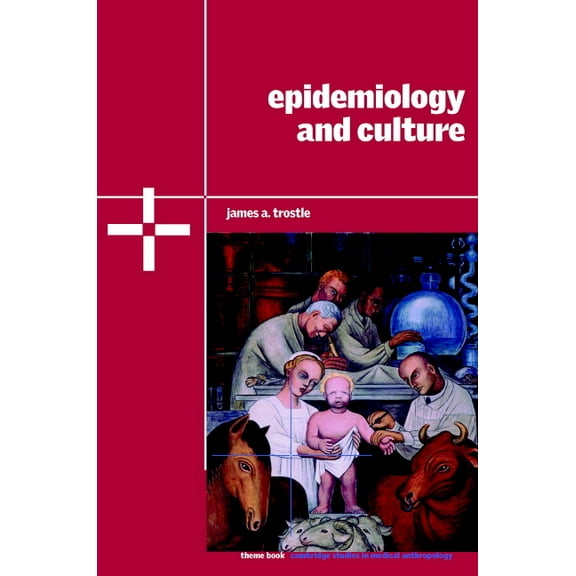 Cambridge Studies in Medical Anthropolog Epidemiology and Culture, Book 13, (Paperback)