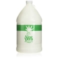 thumbnail image 1 of TRIPLE LANOLIN Aloe Vera Lotion 1 Gallon, 1 of 5