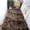 Coffee, variant on Shag Area Rug Small Plush High Pile Soft Washable Throw Carpet With Non Slip Backing For Living Room Bedroom Dorm Home Decor