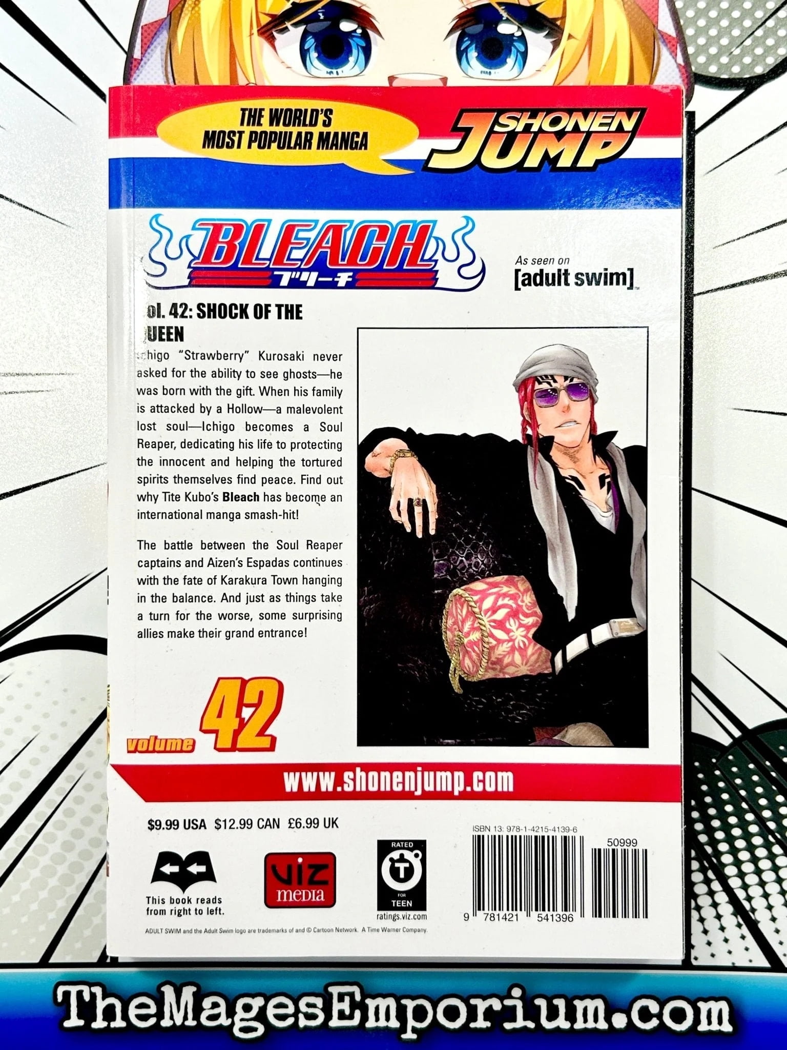 Bleach Bleach, Vol. 42: Shock of the Queen, (Paperback) - Walmart