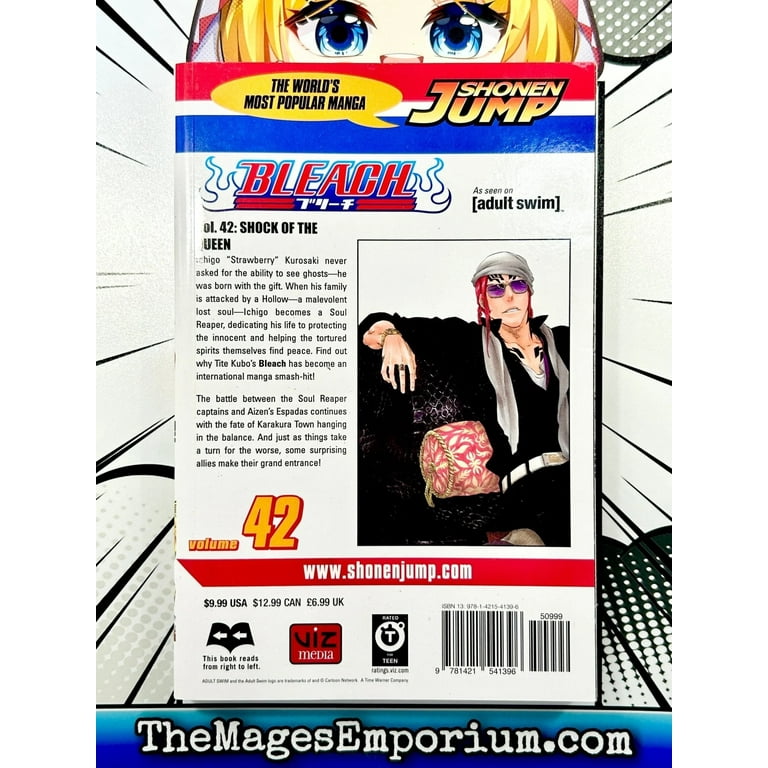 Bleach Bleach, Vol. 42, (Paperback) - Walmart.com