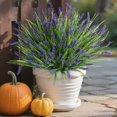 thumbnail image 1 of Plantas artificiales Ivydale Monkey Grass, 10 unidades, color morado, para exteriores, 1 of 7