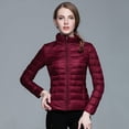thumbnail image 2 of Chaqueta ligera de otoño e invierno para mujer, chaqueta ligera de talla grande con cuello alto, modelos básicos, 2 of 6