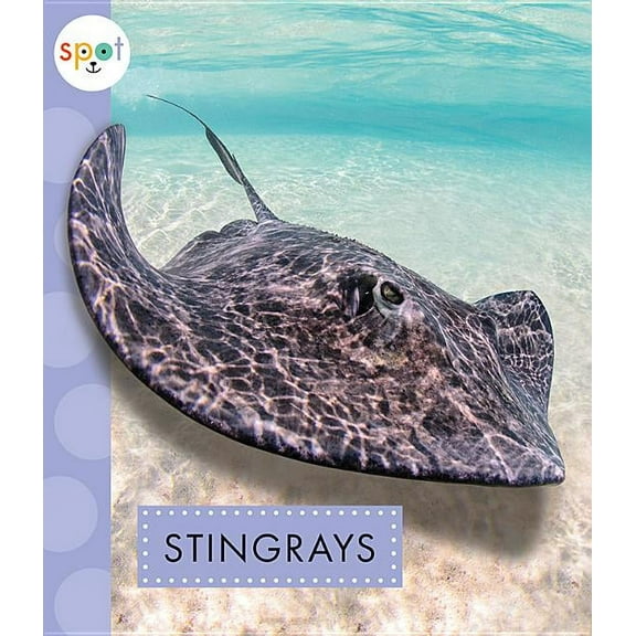 Spot Ocean Animals Stingrays, (Paperback)