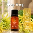 thumbnail image 3 of Aceite Esencial Puro Ylang Ylang 15ml, 3 of 5