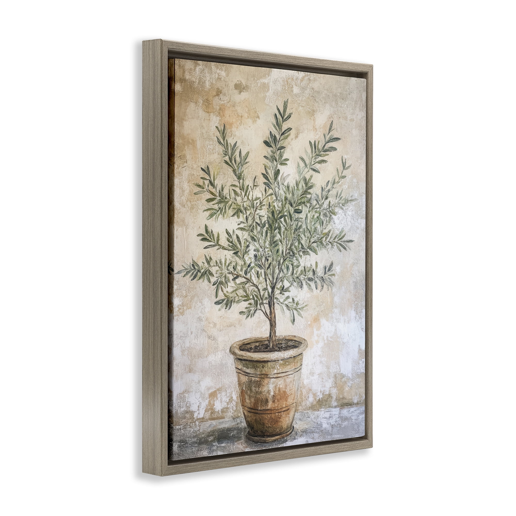 Stupell Industries Mediterranean Potted Olive Brown Framed Floater Canvas Wall Art, design by Petal Prints Design