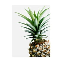 Trademark Fine Art 'Pineapple (color)' Canvas Art by Lexie Gree