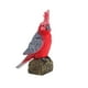 thumbnail image 2 of Fiudx juguetes Figuras de juguetes de loros para decorar el hogar, educación preescolar, 2 of 3