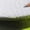 Gray/Lime, variant on Altra Men's Experience Wild 3, White/Coral, 10, Medium