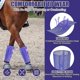 thumbnail image 4 of Breathable Mesh Horse Flyproof Leggings, Mesh Horse Fly Boots Set of 4, 4 of 5