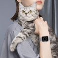 thumbnail image 4 of Correa Deportiva Compatible Con Apple Watch Band 49 Mm, 46 Mm, 45 Mm, 44 Mm, 42 Mm, 41 Mm, 40 Mm, 38 Mm, Nailon Para Mujeres Y Hombres, Pulsera De Repuesto Trenzada Elástica Para Iwatch Ultra Series 1, 4 of 5