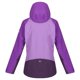 thumbnail image 2 of Regatta - Chaqueta impermeable modelo Birchdale para chica/mujer (Jacinto, Púrpura Zafiro, Berenjena Oscura) Regatta UTRG3330_hyacinthpurplesapphiredarkaubergine, 2 of 7
