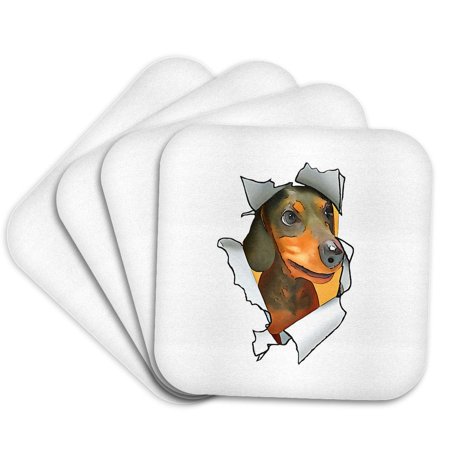 3drose, Cartoon Style Dachschund Poking Its Head Through Ripped Paper, Set of 4 Coasters - Cork