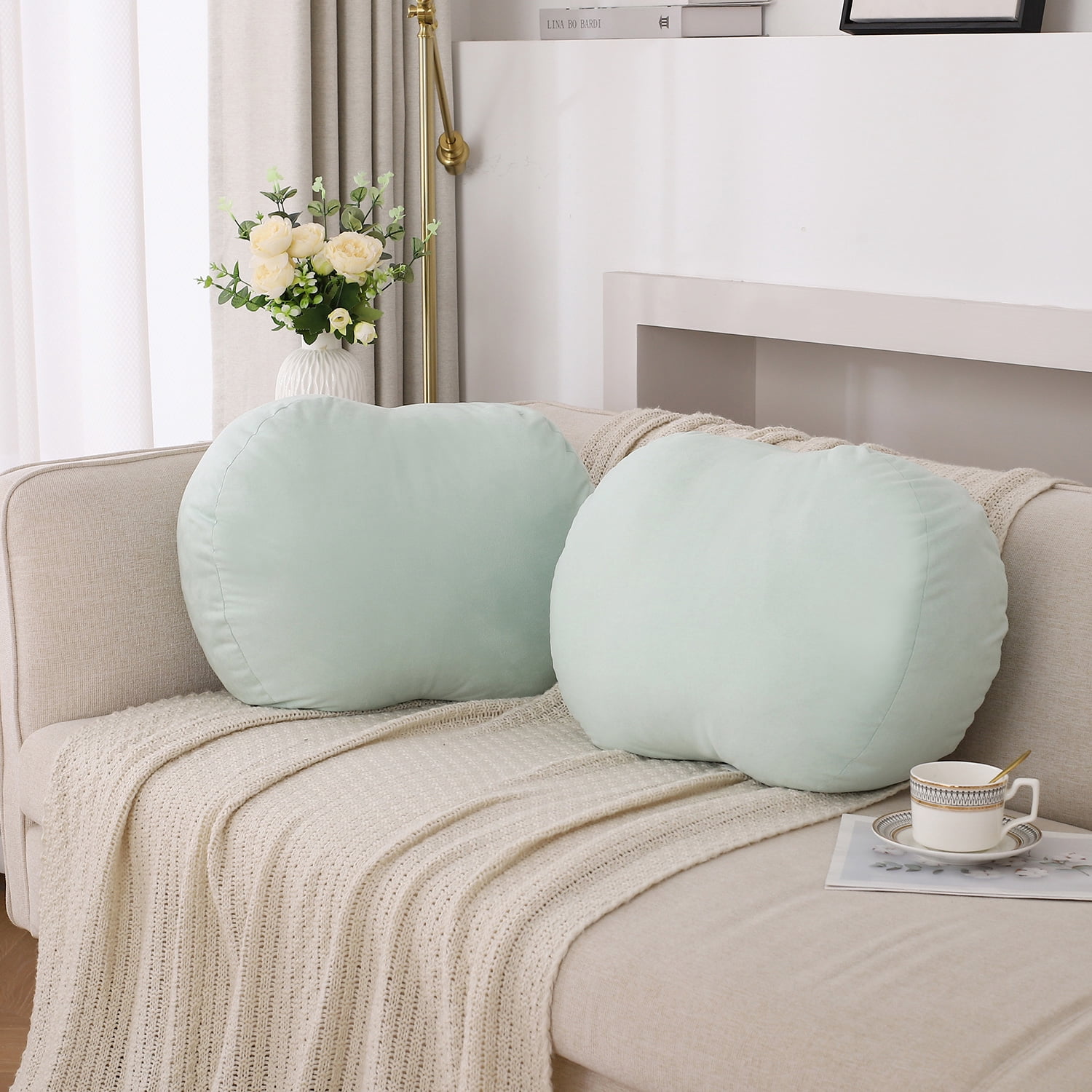 Set of 2 Super Soft Cute Aqua Decorative Throw Pillows