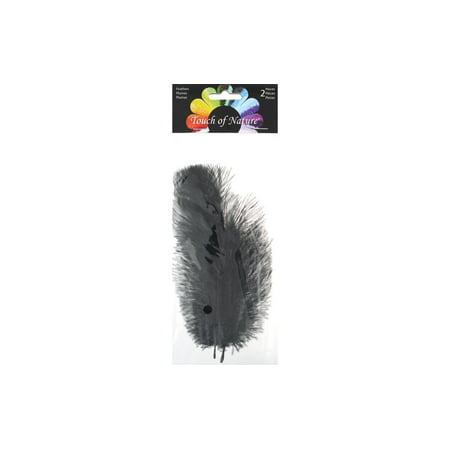 Midwest Design Feather Ostrich Plume 5-8