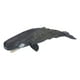 thumbnail image 4 of Ballena De Esperma, Modelo De Animal Marino Criatura Marina Realista Juguete Cognitivo Vida Marina Ballena Para Figuras De Animales Juguetes Para Favores De Fiesta ANGGREK Otros, 4 of 8