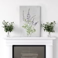 thumbnail image 3 of PixonSign Canvas Print Wall Art Purple Gray Lavender Flower Still Life Nature Wilderness Illustrations Modern Art Botanical Floral Farmhouse/Country Relax/Calm/Cozy - 12"x18", 3 of 5