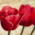 thumbnail image 2 of Ann, Cynthia 20x20 Black Ornate Wood Framed with Double Matting Museum Art Print Titled - Red Tulips, 2 of 4