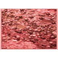 thumbnail image 1 of Ahgly Company Machine Washable Indoor Rectangle Transitional Red Area Rugs, 3' x 5', 1 of 7