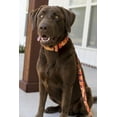 thumbnail image 3 of Country Brook Petz® Orange Sunset Camo Everyday Dog Collar Made USA, Extra Small, 3 of 7