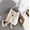 White, variant on WIZUTIZ Ladies Fashion Minimalistic Pure Color Cute Bear Handbag High Capacity Shoulder Bag for Women Womens Handbags Shoulder Bags Large Solid Bags Waterproof White