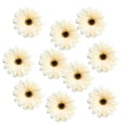 thumbnail image 1 of 10 piezas pequeñas cabezas de gerbera de seda artificiales flores de margarita de imitación mezcladas champán Sunnimix Cabeza de la flor, 1 of 8