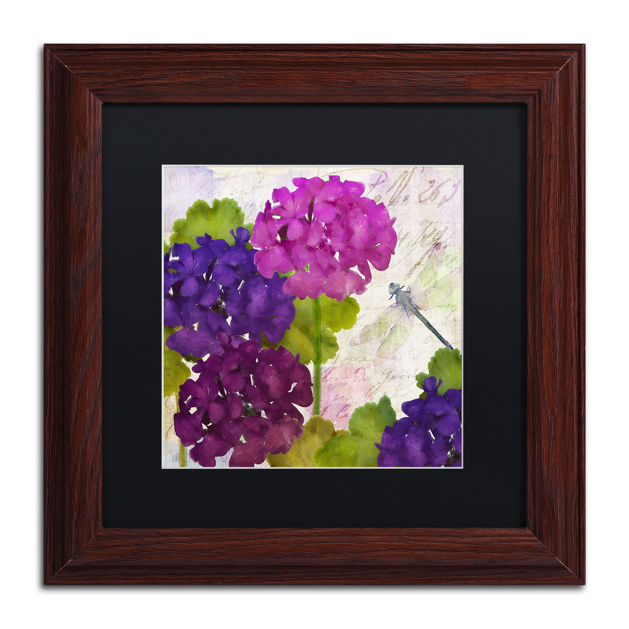Trademark Fine Art "Gaia II" Canvas Art by Color Bakery, Black Matte, Wood Frame