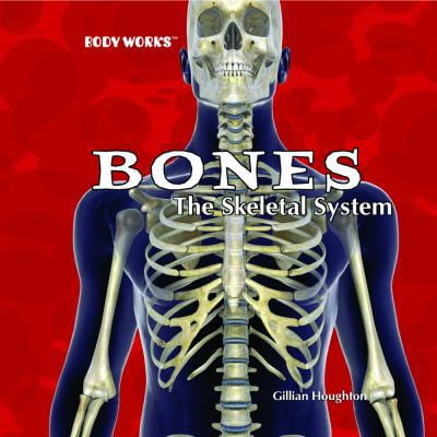 Pre-Owned Bones: The Skeletal System (Library Binding) 140423473X 9781404234734