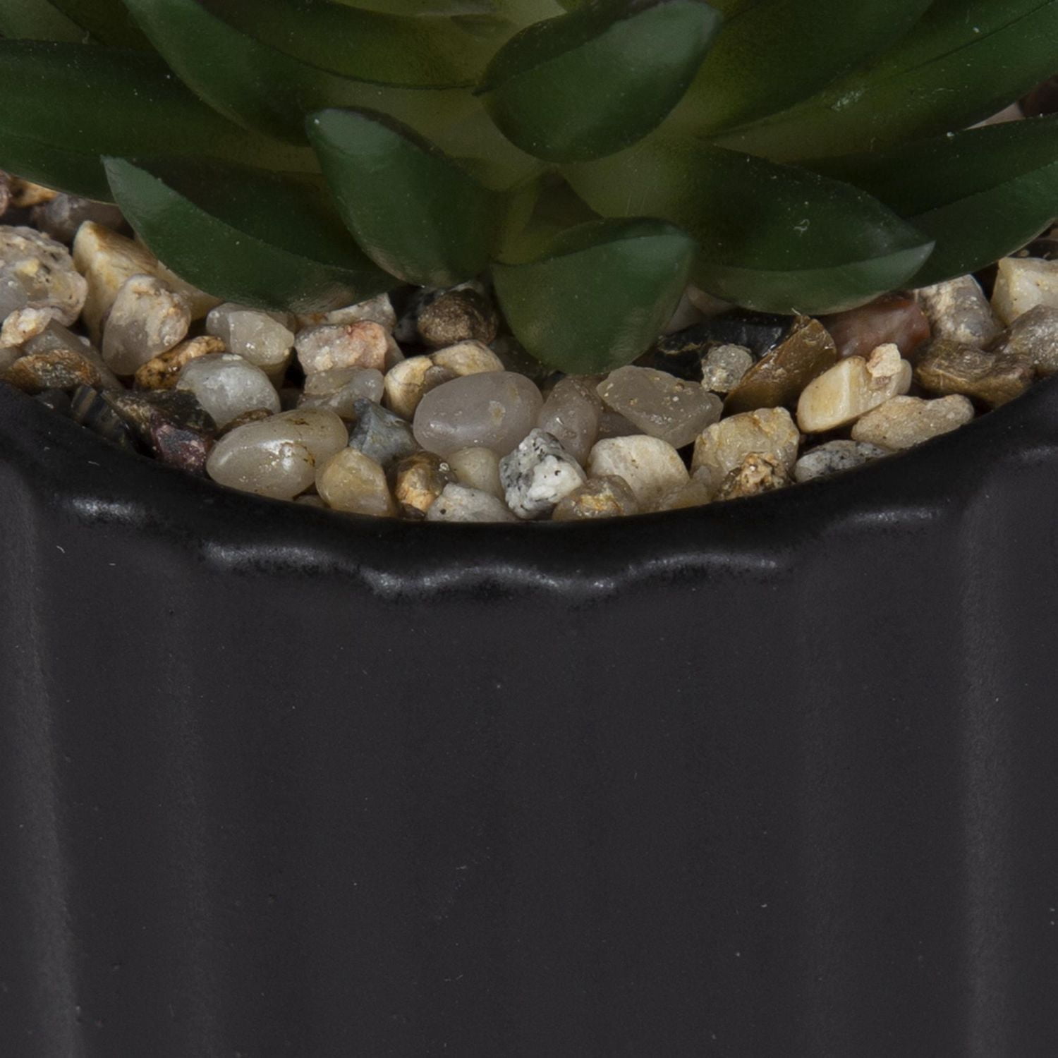 hometrends Cozby Faux Succulent in Black Pot
