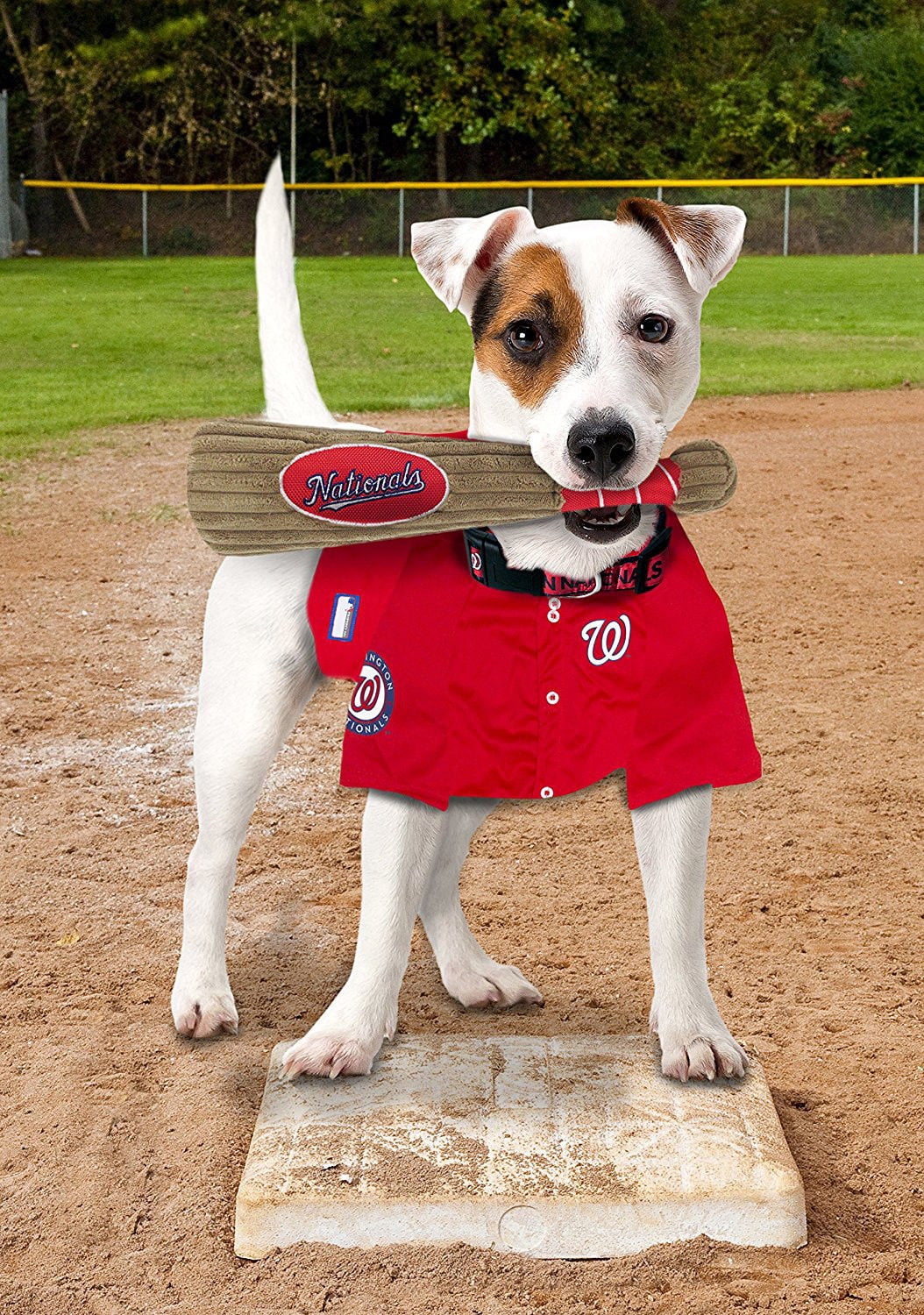 Pets First MLB Washington Nationals BAT TOY for DOGS & CATS. 29 MLB Teams available. - Plush PET TOY with inner SQUEAKER. Officially Licensed Baseball BAT.