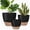 Black, variant on West Bay 12" 10" 9" Large Self Watering Plant Pots, 3 Pack Flower Pots Planters with Multi Mesh Drainage Holes for Indoor Outdoor Garden Plants and Flowers (White)