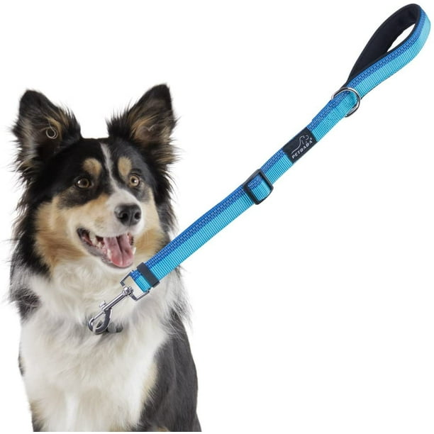 Short control top dog lead