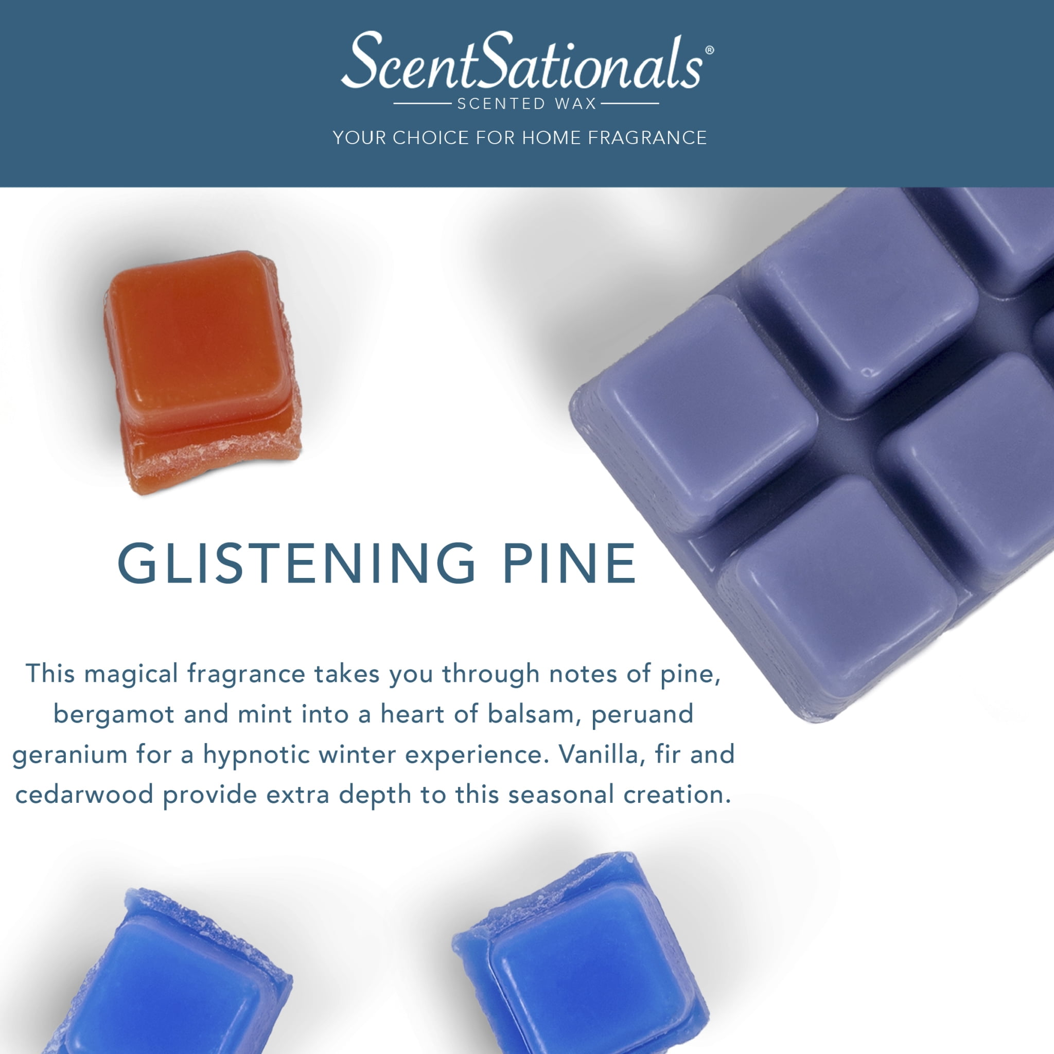 Glistening Pine Scented Wax Melts, ScentSationals, 2.5 oz (1-Pack)