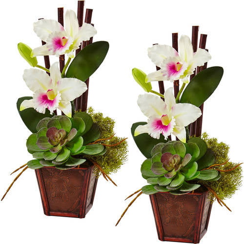 Set of 2 Orchid Island 