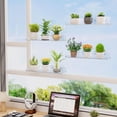 thumbnail image 2 of Lifewit Window Plant Floating Shelves 15 inch, 2 Pack, Acrylic Suction Cup Shelf, Window Sill Extender for Indoor Succulent Plants, Micro Greens, Seed Starter Pots, Herb Planters, 2 of 8