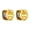 Gold, variant on Rainbow Huggie Hoop Earrings for Women Stud Post Statement Silver Gold Plated Lesbian Bisexual Transgender LGBTQ Stainless Steel Pride Jewelry Gold