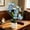 Blue, variant on Artificial Phalaenopsis Orchid Potted Plant, 15.8in Blue Fake Orchid with White Pot, Realistic Faux Flower Arrangement for Home and Office Decor