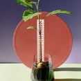 thumbnail image 4 of unbranded 4Ud Columna Para Plantas De Jardín Soporte Durable Para Crecimiento Recto, 4 of 8