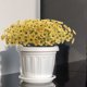 thumbnail image 4 of Protección exterior de flores artificiales violetas - Decoración realista de seda morada con pétalos realistas - 1 pieza, 4 of 4