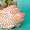 thumbnail image 3 of Large Terracotta Hedgehog Pot, 3 of 4