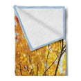 thumbnail image 2 of Leaves Soft Flannel Fleece Blanket, Autumn Maple Tree from Bottom to Top View Environment Flora Season November Print, Cozy Plush for Indoor and Outdoor Use, 50" x 70", Orange Blue, by Ambesonne, 2 of 5