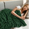thumbnail image 2 of PAVILIA Waffle Fleece Throw Blanket for Couch Bed Emerald Green, Super Soft Fuzzy Cozy Blanket Sofa, Plush Warm Cute Decorative Home Decor Throw, Lightweight All Season, Forest Dark Green, 50x60, 2 of 8