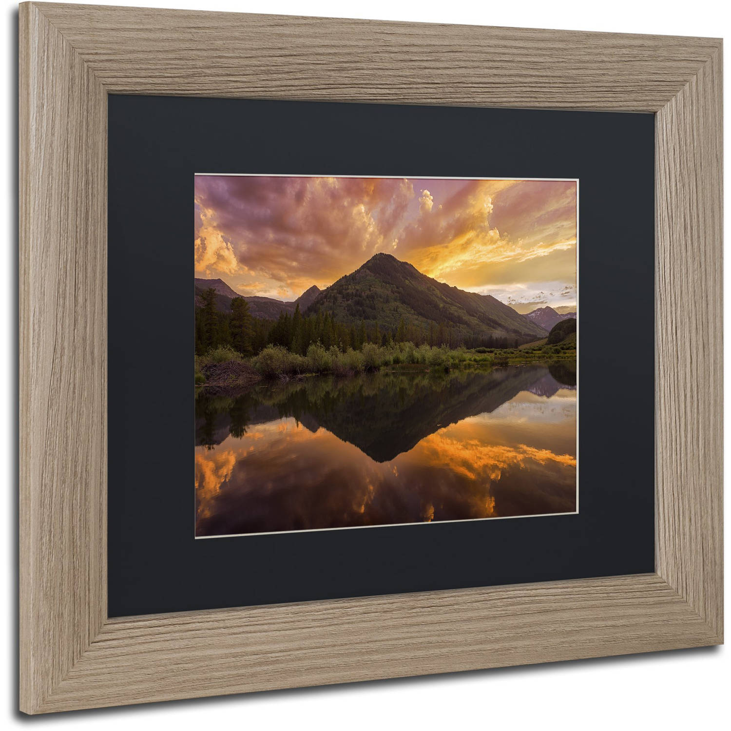 Trademark Fine Art "Orange Majesty" Canvas Art by Michael Blanchette Photography Black Matte, Birch Frame