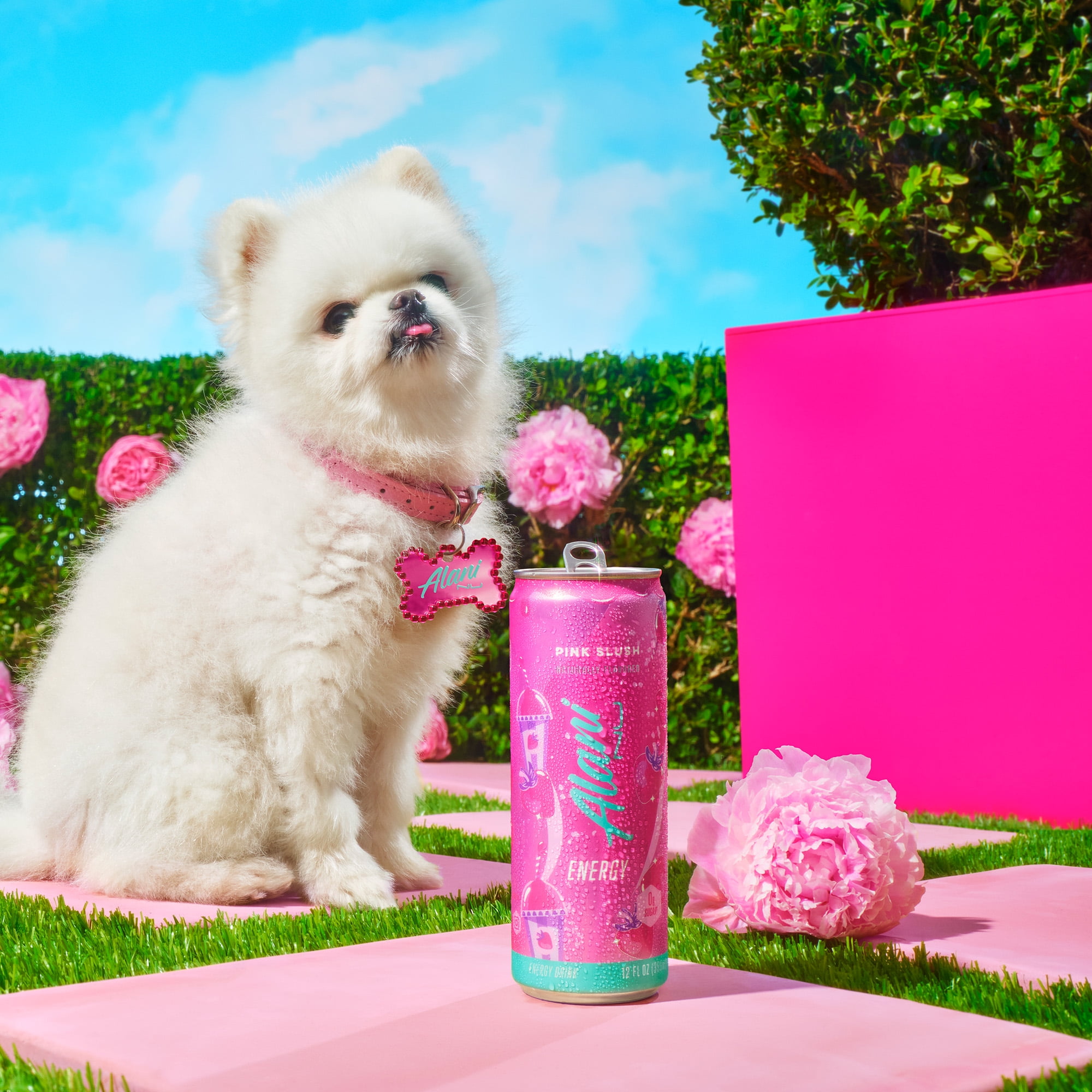 Alani Nu, Pink Slush, 12 fl oz, Single Can