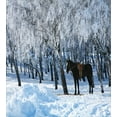 thumbnail image 3 of Animal Duvet Cover Set, Horse between Trees in the Winter Forest Frozen Woods Icy Land Nature Picture, Decorative 3 Piece Bedding Set with 2 Pillow Shams, Queen Size, Brown White, by Ambesonne, 3 of 3
