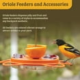 thumbnail image 6 of Birds Choice 12 oz. Oriole-Fest Feeder with Weatherguard, Orange, 6 of 11