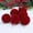 Red, variant on sruoe Christmas Ball Ornaments, Christmas Tree Ornament, Shatterproof Ornaments, Xmas Bulbs Decoration Set, Flocked Christmas Balls, Hanging Balls for Holiday Birthday Wedding Party Christmas Decor