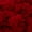Red Hot, variant on RED HEART Pomp-A-Doodle yarn Violet